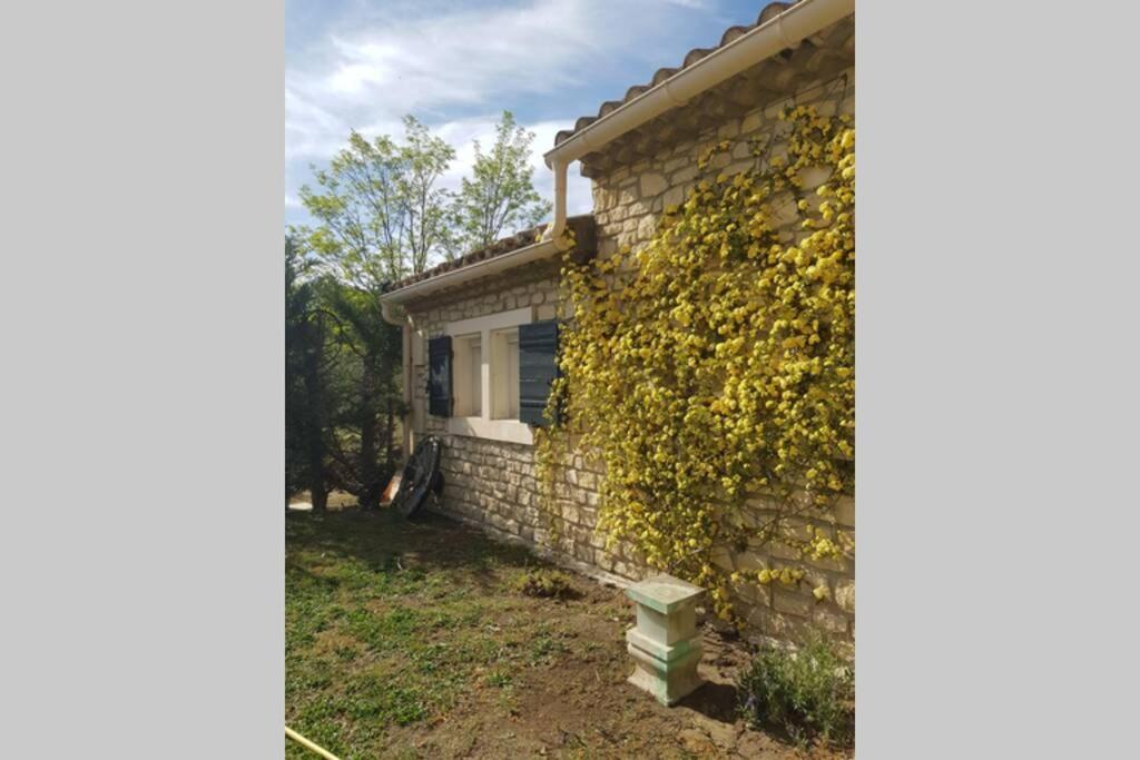 Appartement 2 Pers Avec Acces Piscine Saint-Rémy-de-Provence Zewnętrze zdjęcie